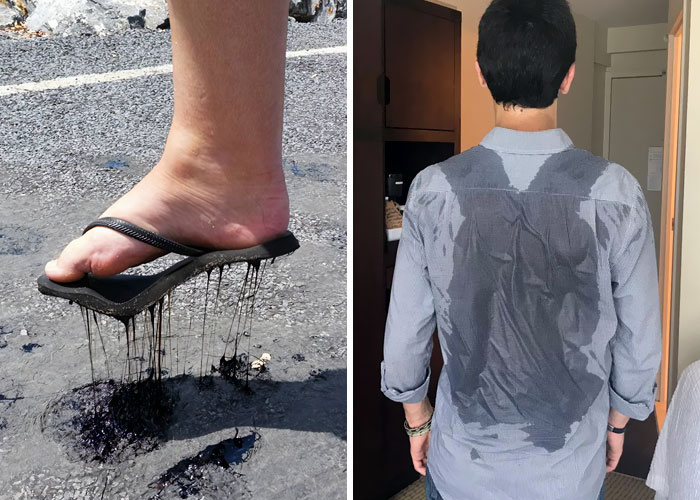 50 Fotos que muestran las consecuencias de las olas de calor veraniegas