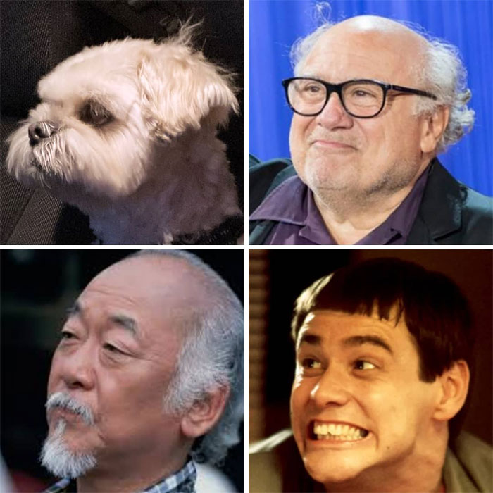 Forget #Tobytwinsies, What About Quadruplets?