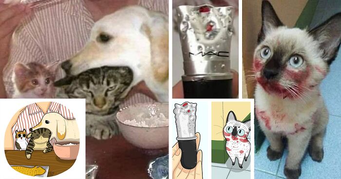 40 Of The Funniest Internet-Famous Cat Pics Get Illustrated By Tactooncat (New Pics)