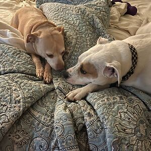 elizabethrichards avatar