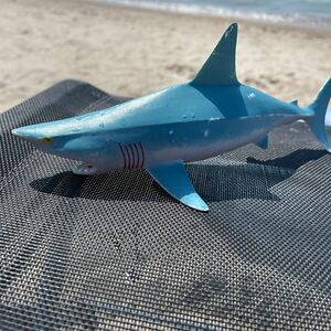 karenwickiam_1 avatar