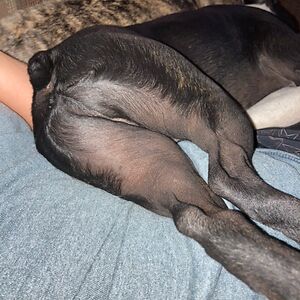 marynhjermstad_1 avatar