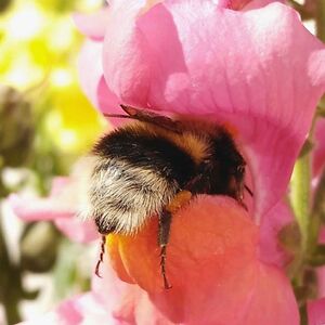 jennifer-mashburn avatar