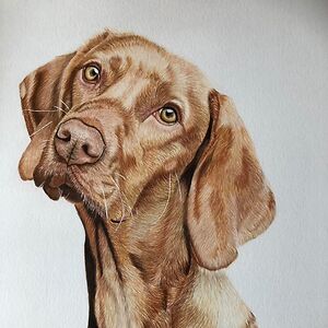 hatala-eszter avatar