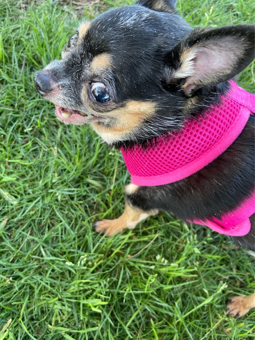 Touch My Tail One More Time B*%$!