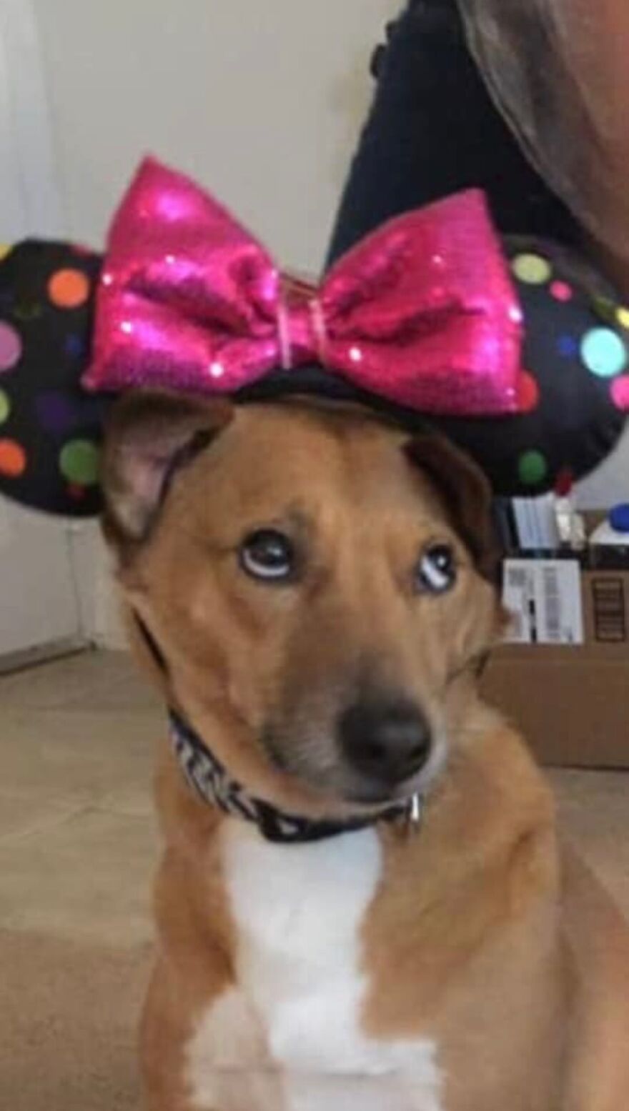 Mom Seriously?!?!? Could You Not Ugh