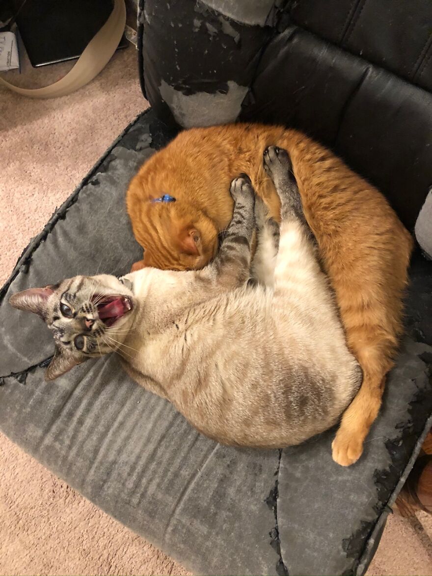 "Mooooomm! He's Not Playing With Me!!