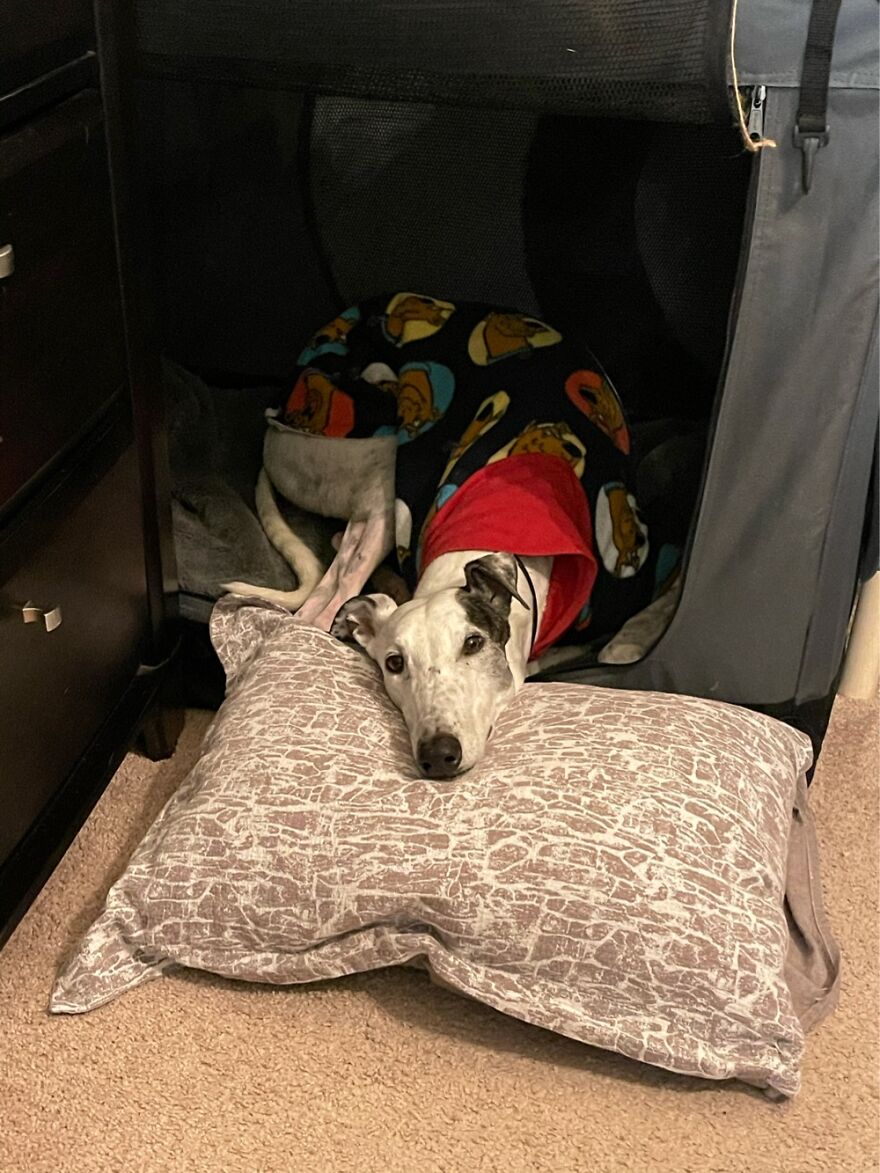 Scooby Doo Jammies And A Pillow.