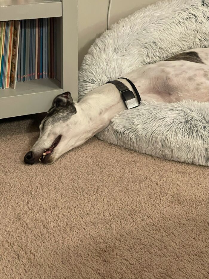 How Is That Comfortable?!