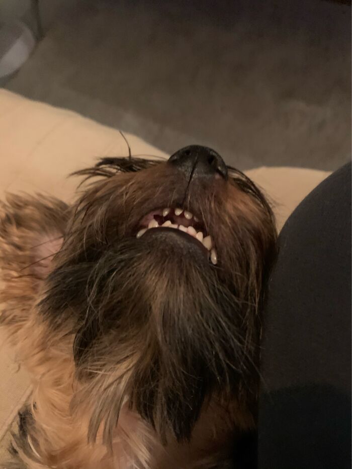 And Yes She Is Snoring