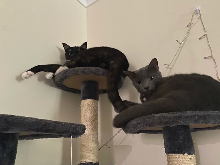 There You Go. This Is Just A Normal Pic On A Phone !