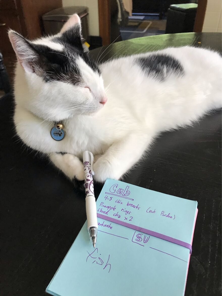 This Weirdo Has A Natural Smiling Face All The Time…to Match His Quirky Personality!