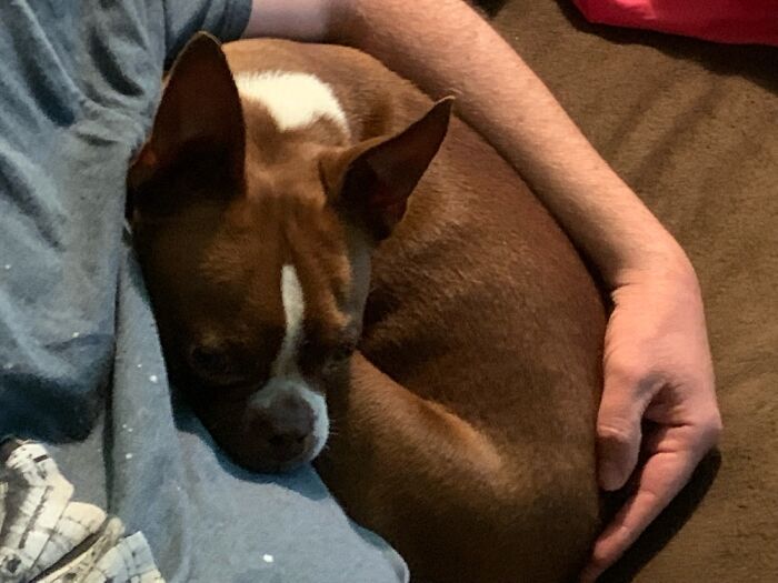 This Is Huxley Look At Him Being An Orb