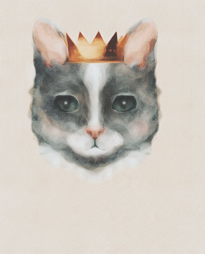 King Of Cats