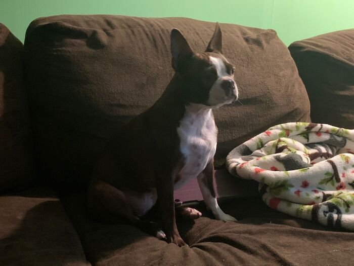 This Is Usagi She’s A Good Girl