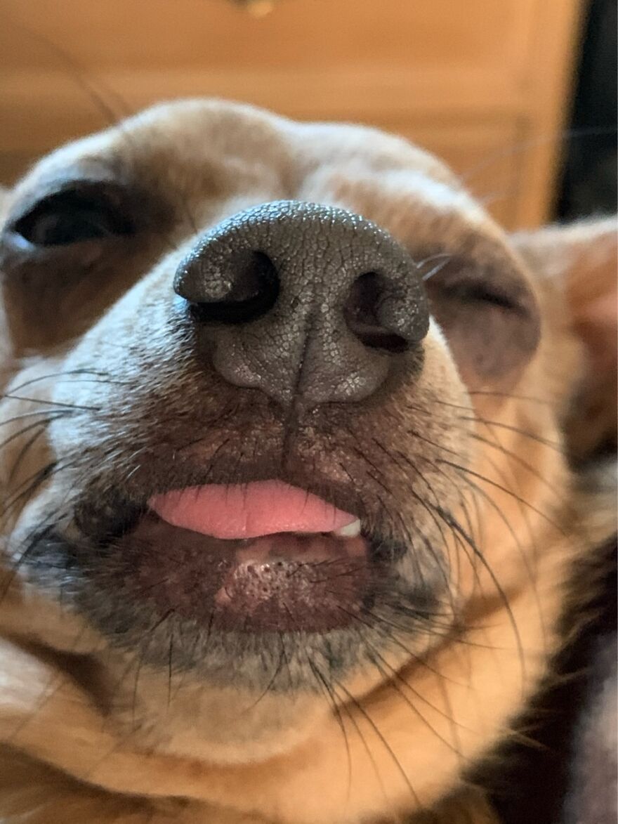 I’m Ready For My Close Up!