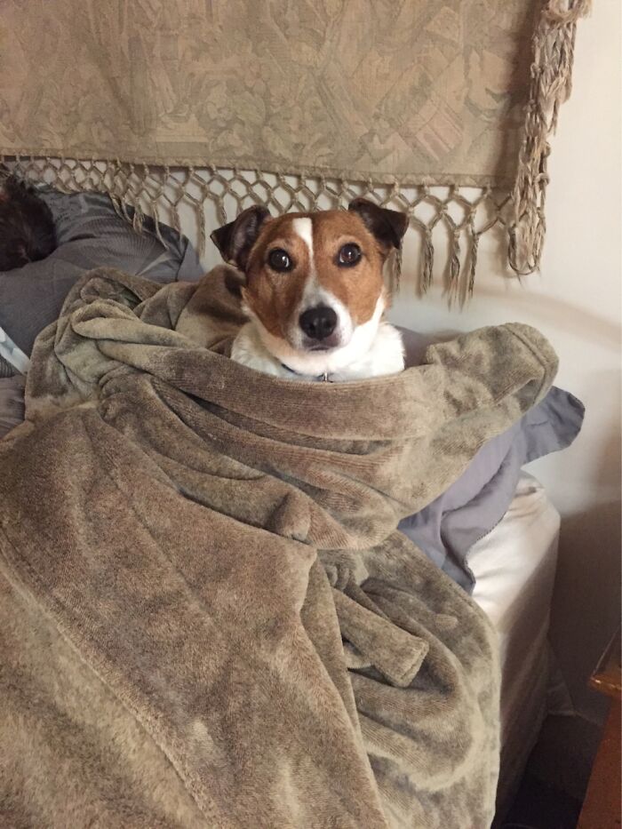 Sprocket Rugged Up For Winter Down Under