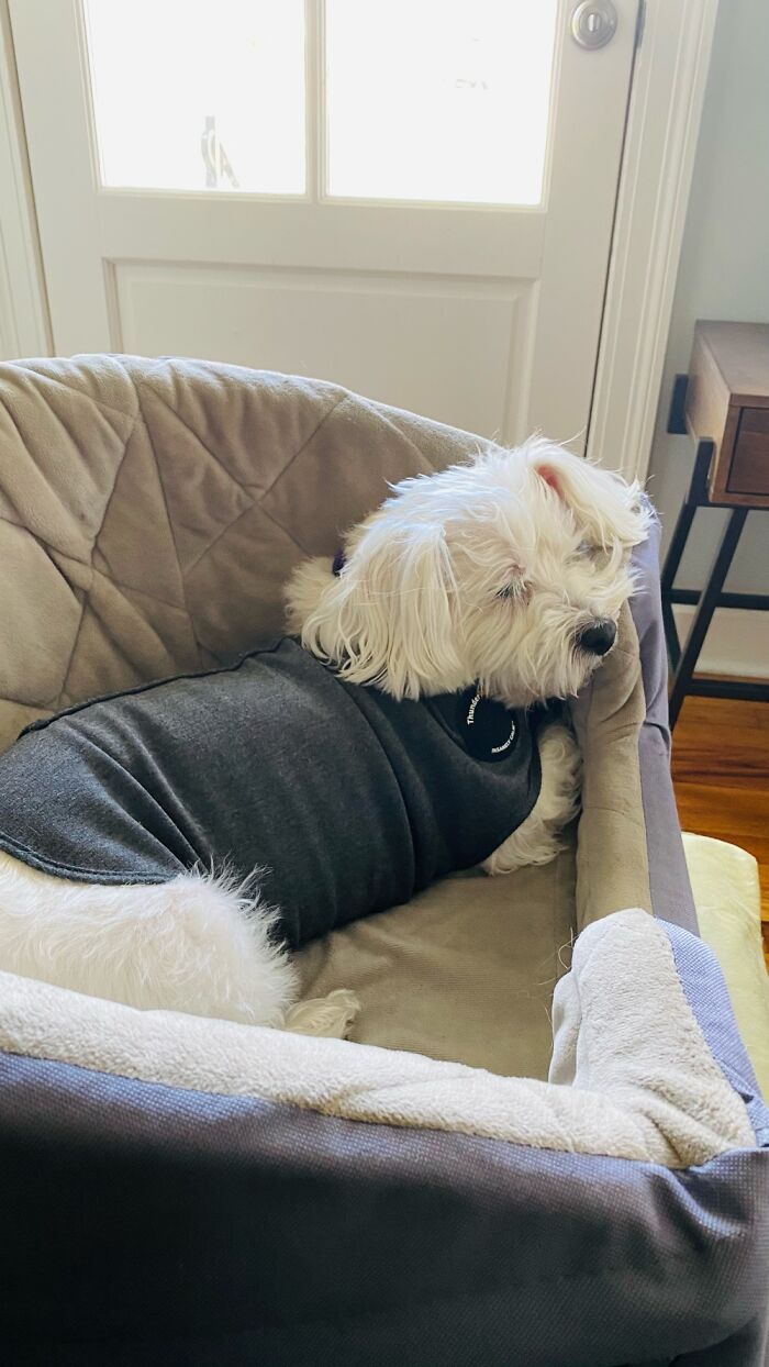 Hi I'm Jeje. I'm Cute Even When I'm Sleeping