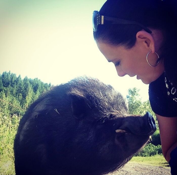 Meet Leonard My Pet Pig