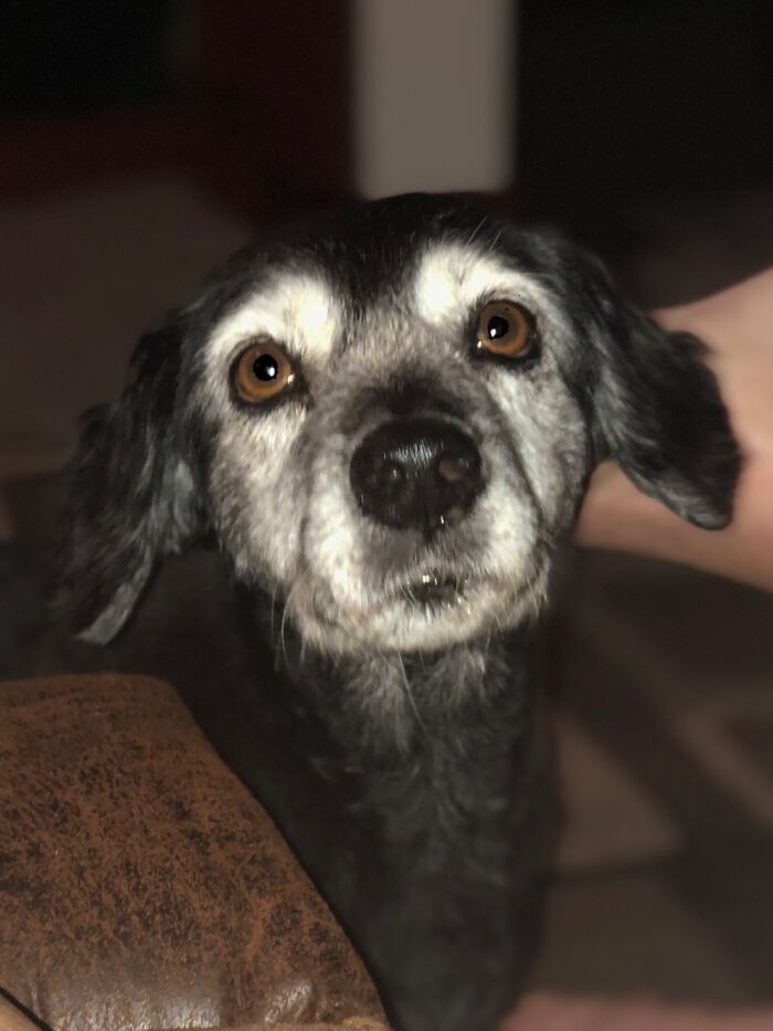 My 17 Year Old Girl Winnie Being Her Sweet Self♥️