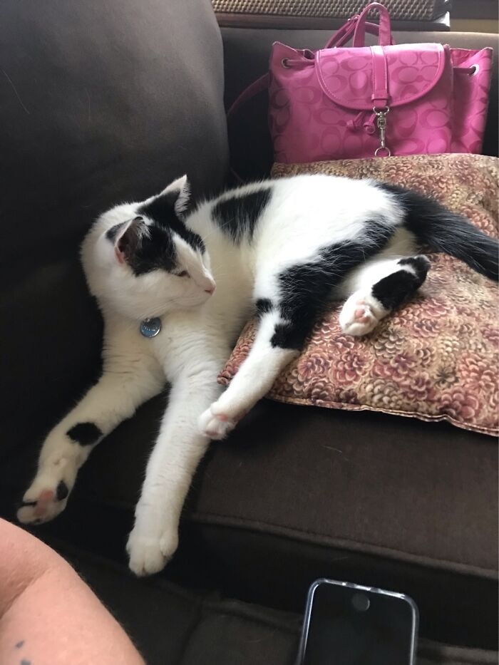 Puffin…are You Alright? Do You Need Help??