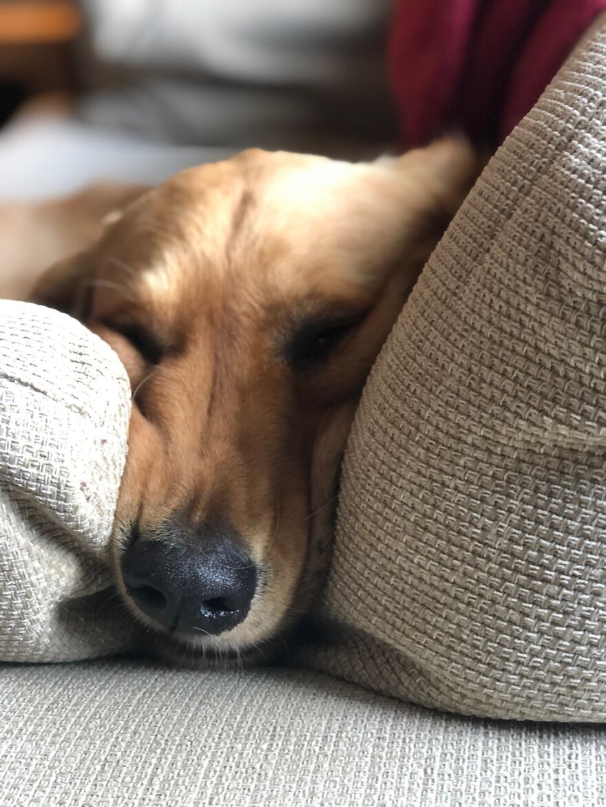 Louis Being Classic Louis…