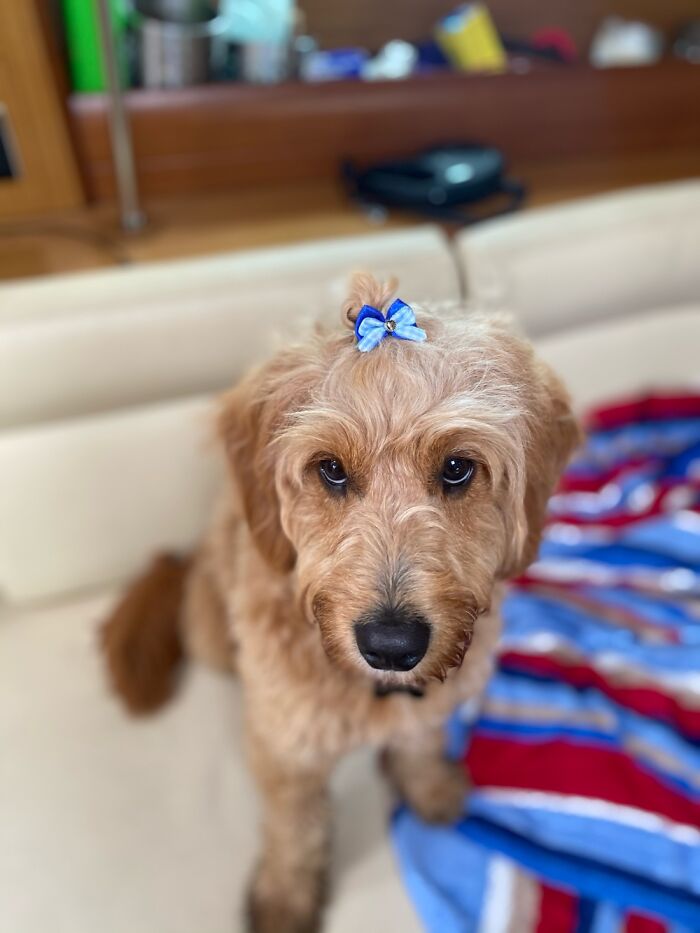 In His Eyes This Is Extremely Unflattering