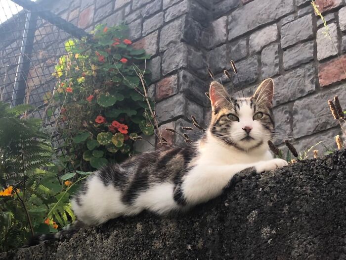 Willow Knows How To Strike A Pose!