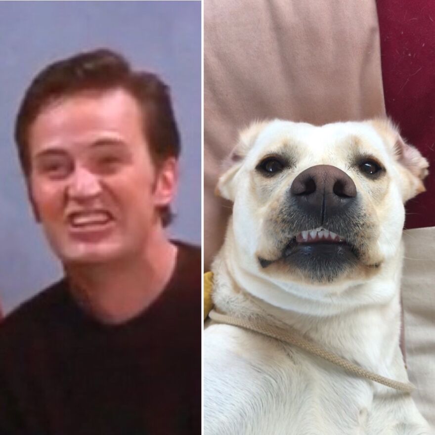 “Great. And Now Give Us A Smile..” 📸