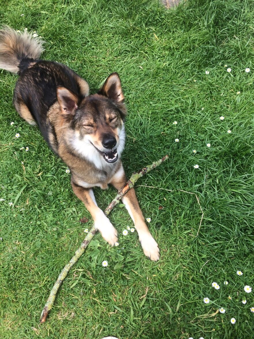 'i Love This Mossy Flavor 😆!!'