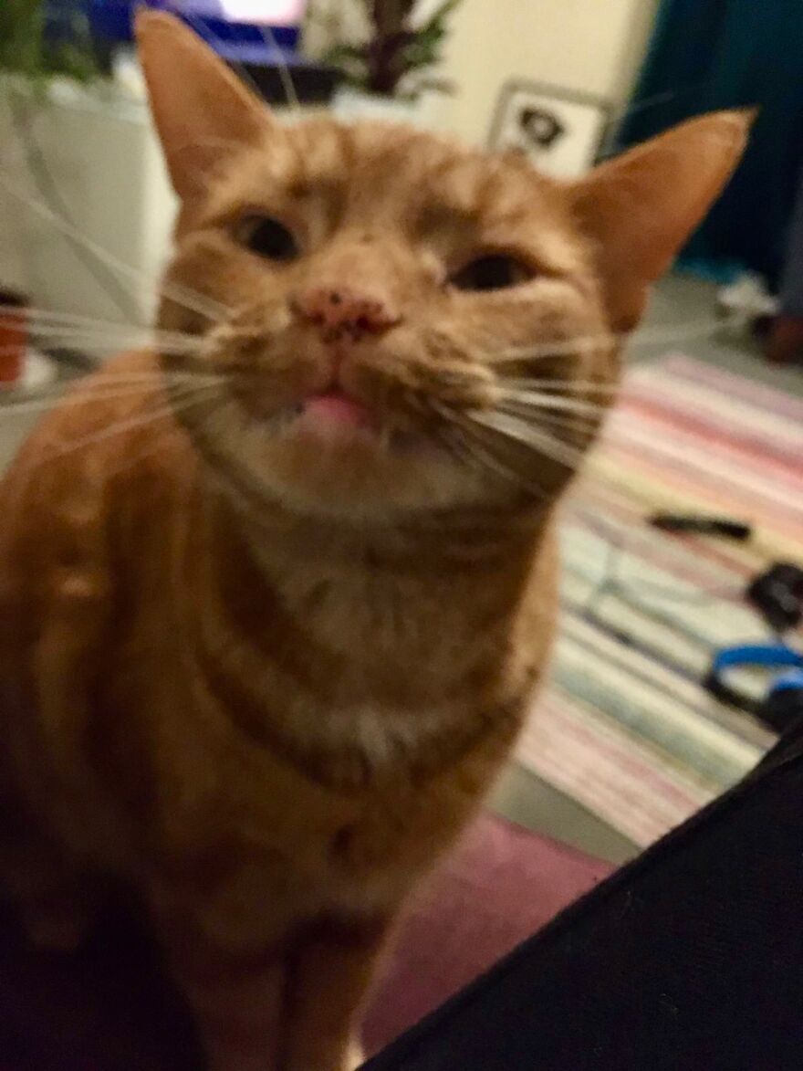 He Looks So Proud. I’m Concerned What About Though ~