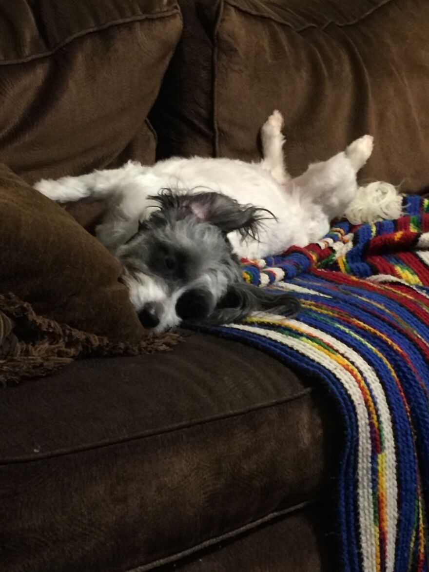 Panda Bear Is A Flexible Little Girl.