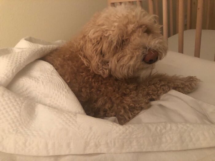 Living His Best Life.