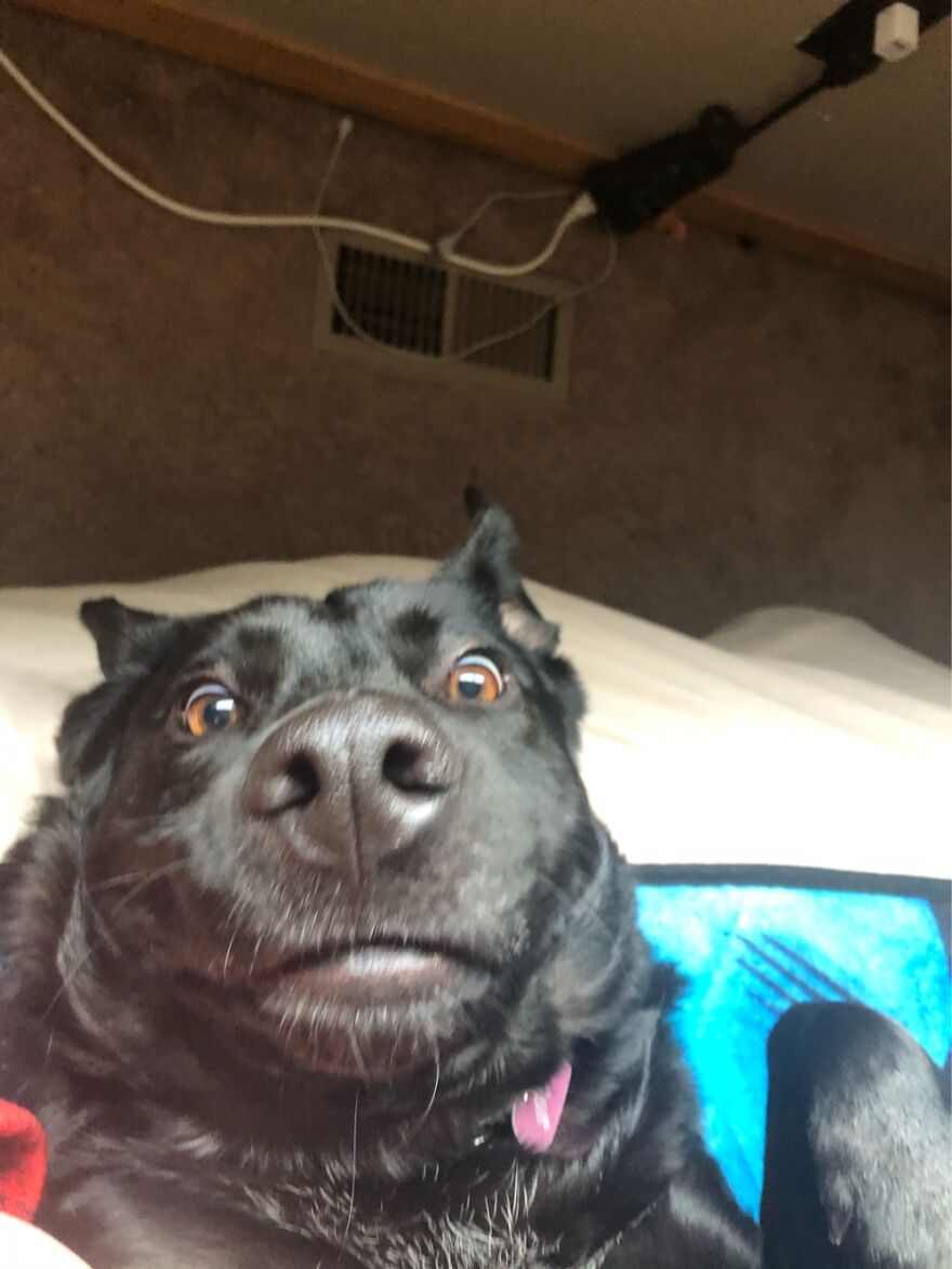 Saw Her Face And Had To Get A Pic