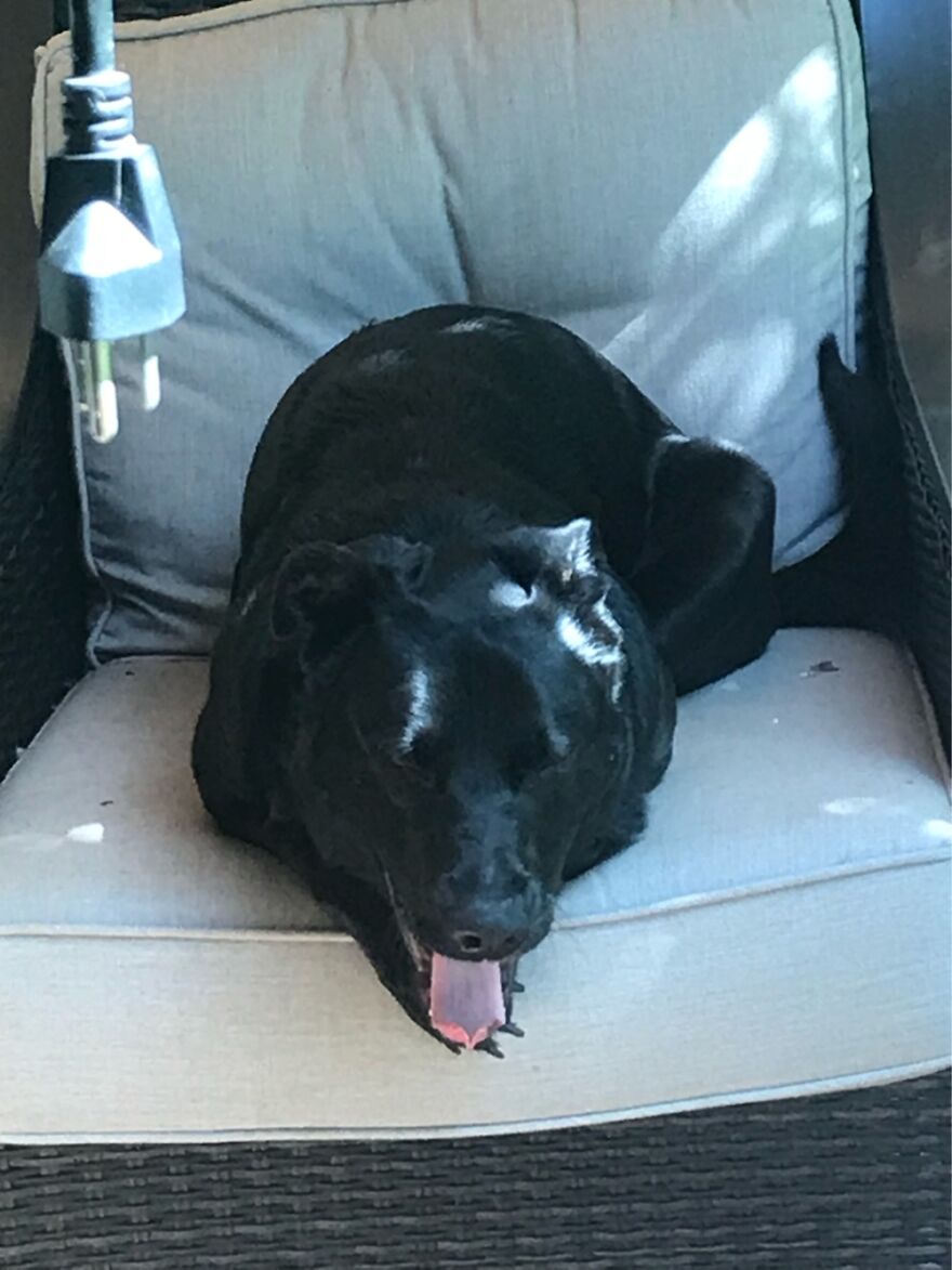 Someone Come Help Me Down!