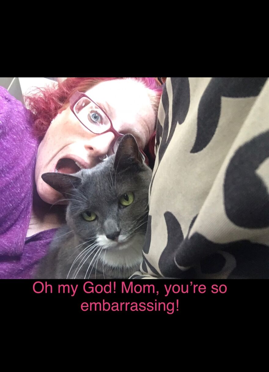 My Cat Wolfie Has That Annoyed Teenager Eye Roll Down Perfect!