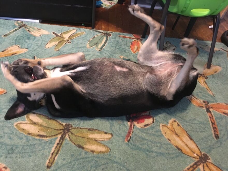 You Hide, I’ll Count To 10!