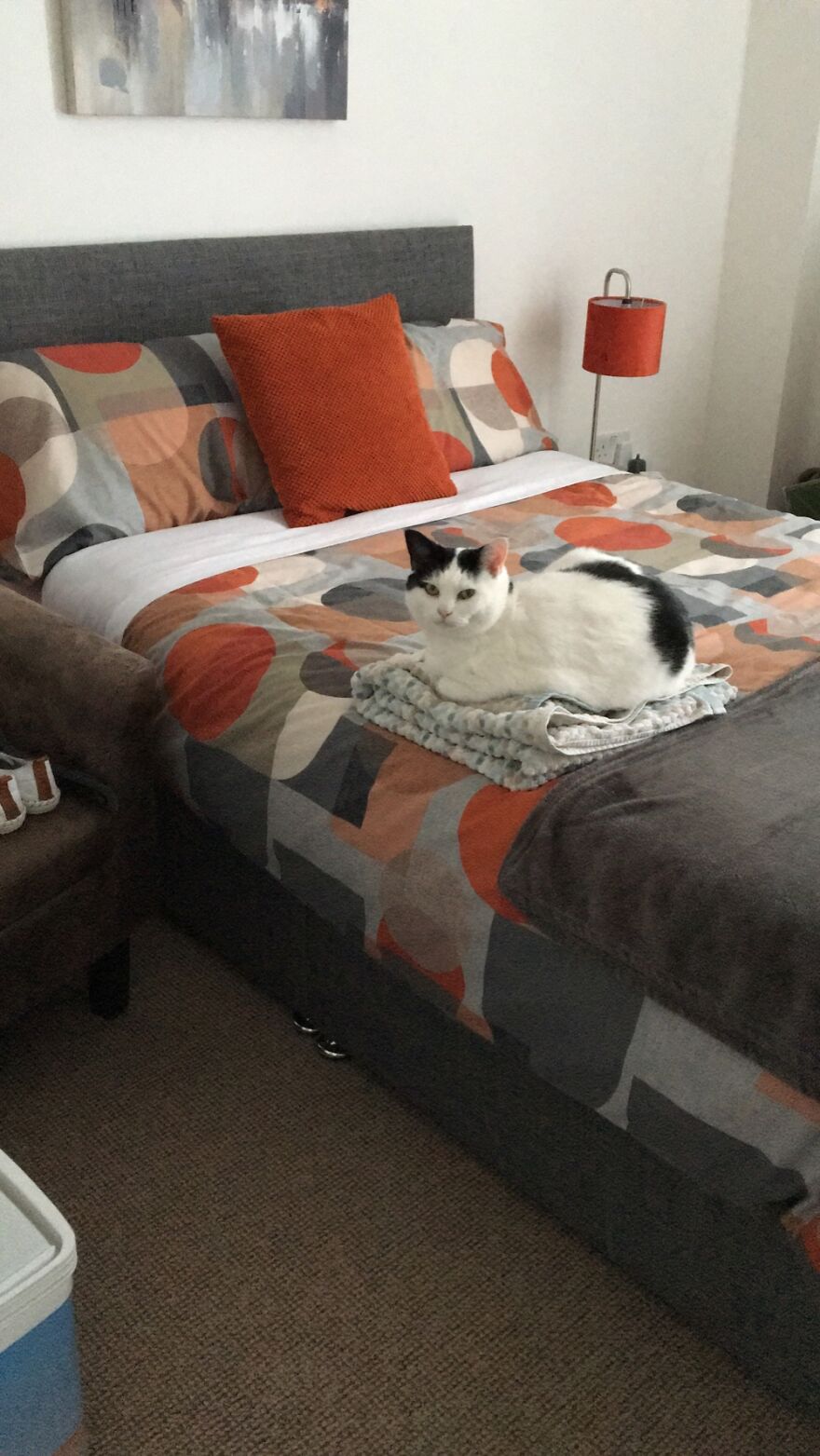 Placed Towel On The Bed For A Minute