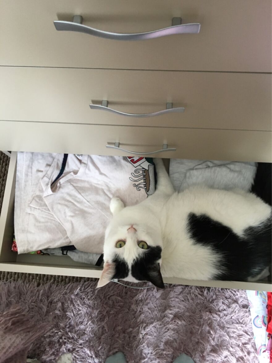 If It’s Open, She’s There