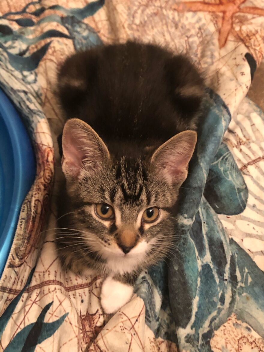 My Baby Sofia Anita, Waiting For Me Finish