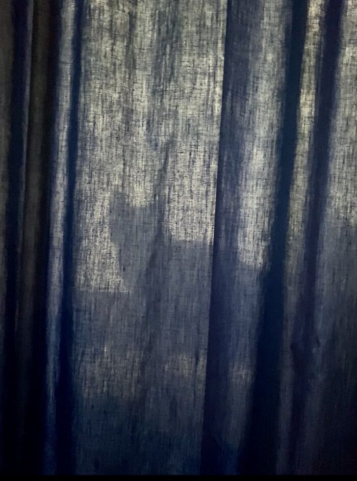 Our Two Foster Cats Are Photo Modes