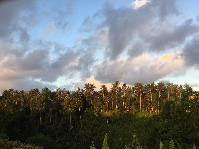 Summer Sunset In Ubud, Bali
