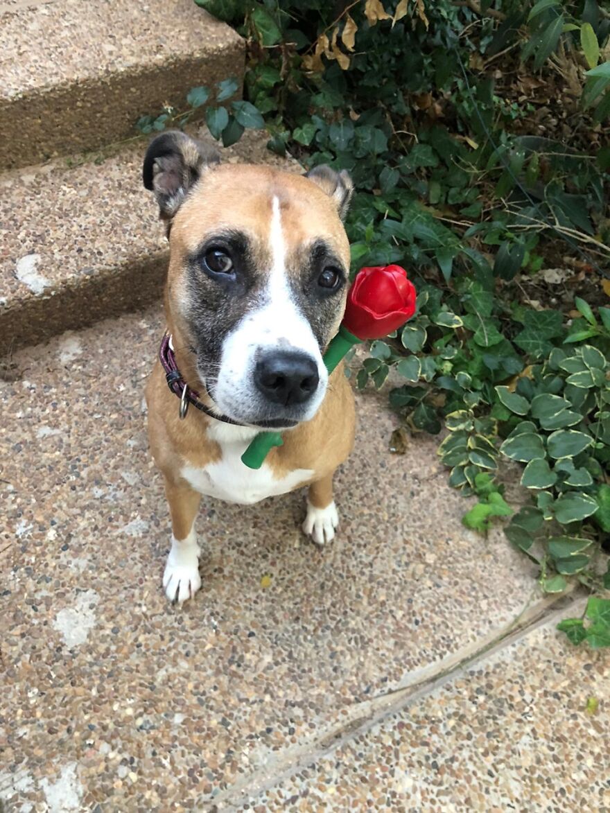 Daly And Her Favorite Toy
