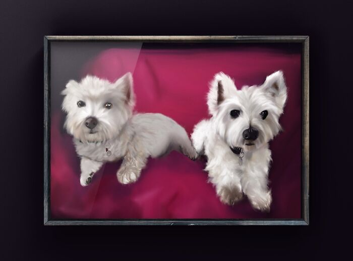 I Started A Pet Portrait Business During Lockdown.