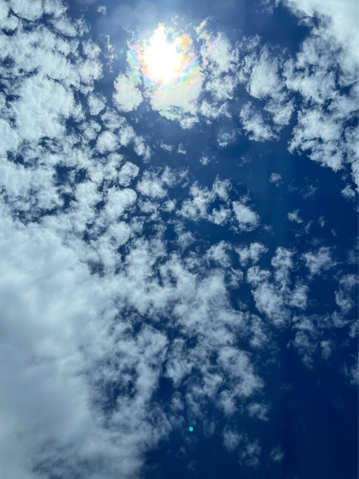 I Was On A Trip W/ My Bff In June, Took This Out Of Her Sunroof