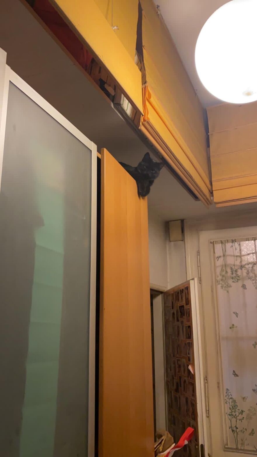 Little Lotti Is Watching Us From Above