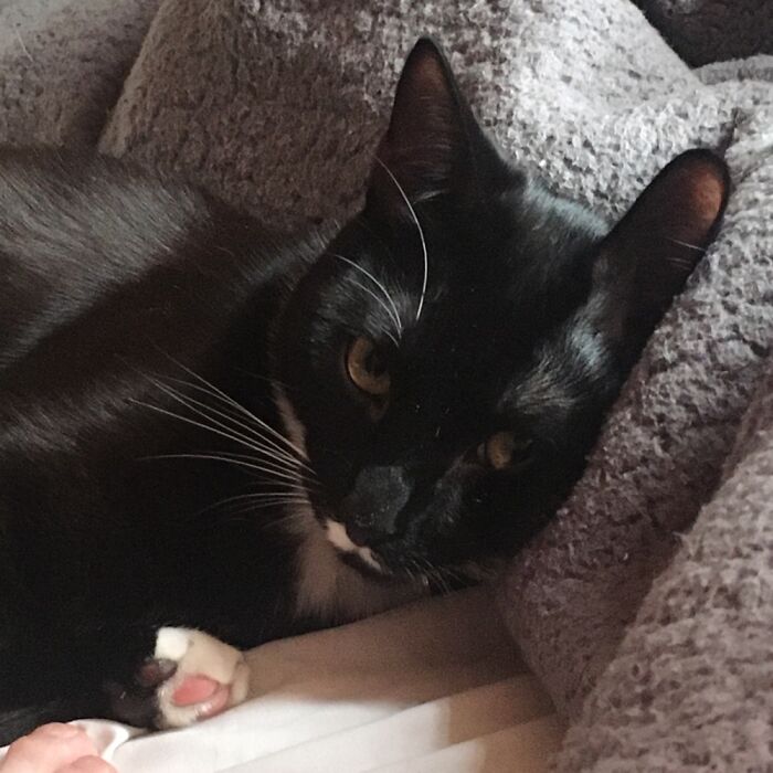 Basmati Is Annoyed, But Pawlite Enough To Say That ‘It’s Rice To Meet You!’