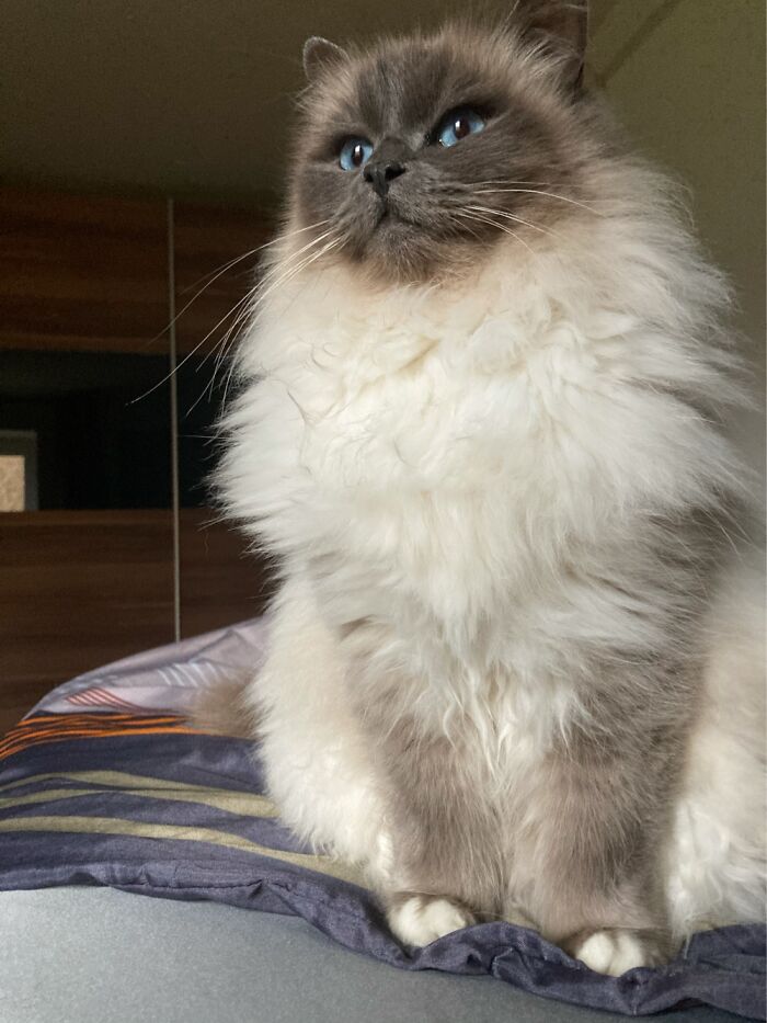 Majestic On The Outside, Childish On The Inside.