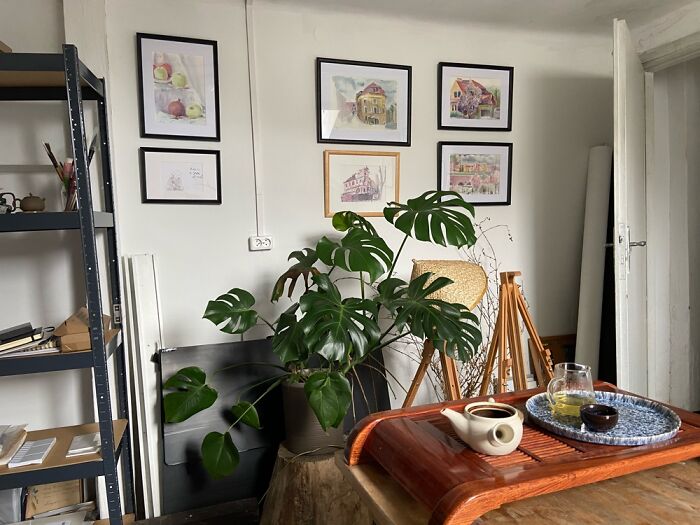 Monstera In My Studio