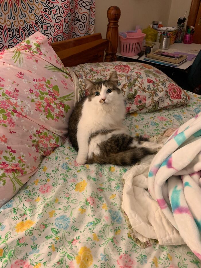 I Feel Like This Is Pretty Weird